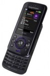 Sony Ericsson W395